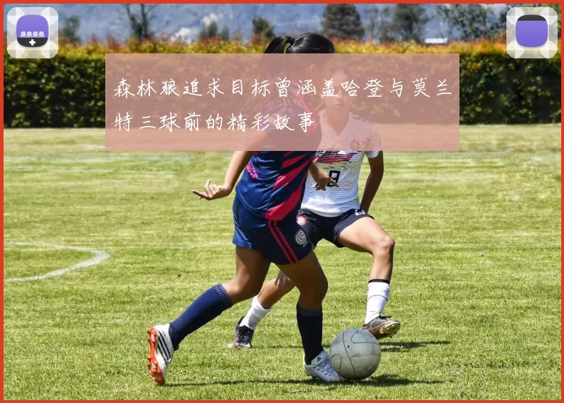 森林狼追求目标曾涵盖哈登与莫兰特三球前的精彩故事