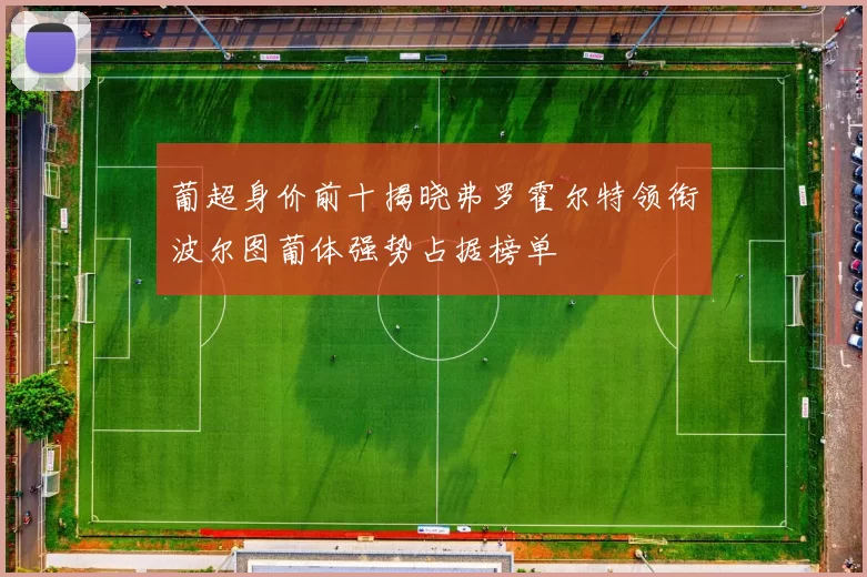 葡超身价前十揭晓弗罗霍尔特领衔波尔图葡体强势占据榜单